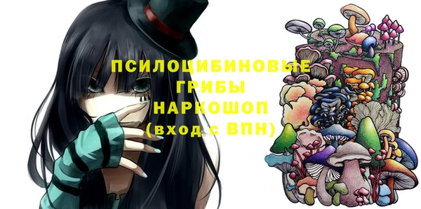 трава Нязепетровск